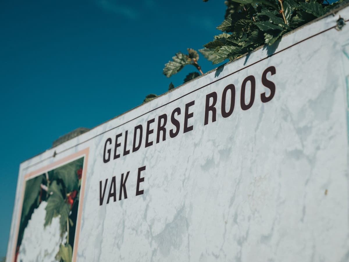 Vakantiepark De Klepperstee
